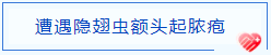 QQ截图20210916110825.png